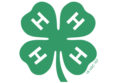 Partner 4-H